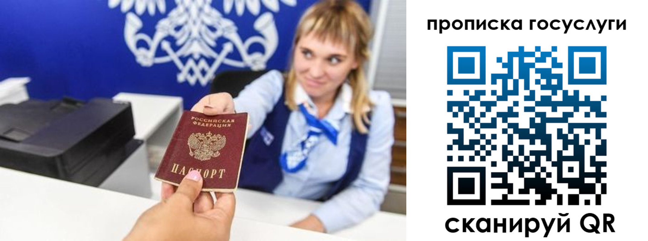 прописка 2025 в Елизово